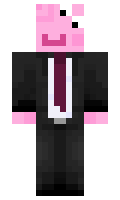 VV24 minecraft skin