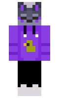 Zendol minecraft skin
