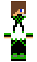 arydill minecraft skin