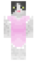 ff898f2ea2c851 minecraft skin