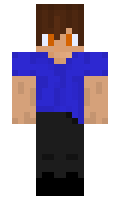 ff8ab7a150dc34 minecraft skin