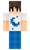 Desicade minecraft skin