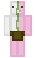 DocQuiverInc minecraft skin