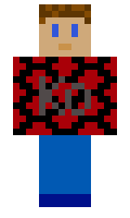 Koestergaard minecraft skin