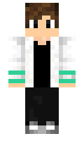 HuskaChi minecraft skin