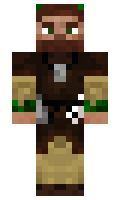 Pimpblock minecraft skin