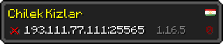 Userbar 320x64 in Minecraft-Stil für den Server 193.111.77.111:25565