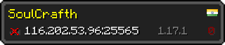 Userbar 320x64 in Minecraft-Stil für den Server 116.202.53.96:25565