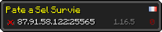 Userbar 320x64 in Minecraft-Stil für den Server 87.91.58.122:25565