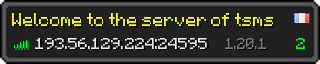 Userbar 320x64 in minecraft style for 193.56.129.224:24595