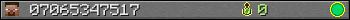 07065347517 userbar 350x20