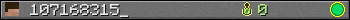 107168315_ userbar 350x20