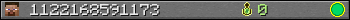 1122168591173 userbar 350x20