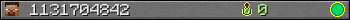 1131704842 userbar 350x20