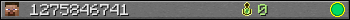 1275846741 userbar 350x20