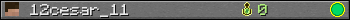 12cesar_11 userbar 350x20