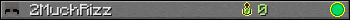 2MuchRizz userbar 350x20