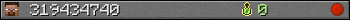 319434740 userbar 350x20