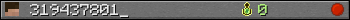 319437801_ userbar 350x20