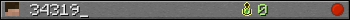 34319_ userbar 350x20