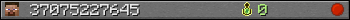 37075227645 userbar 350x20