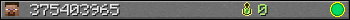 375403965 userbar 350x20