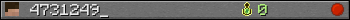 4731249_ userbar 350x20