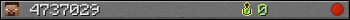 4737029 userbar 350x20