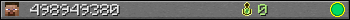 498949380 userbar 350x20