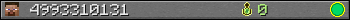 4993310131 userbar 350x20