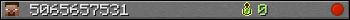 5065657531 userbar 350x20