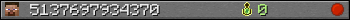 5137697934370 userbar 350x20