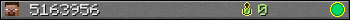 5163956 userbar 350x20