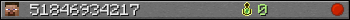51846934217 userbar 350x20