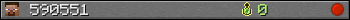 590551 userbar 350x20