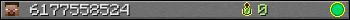 6177558524 userbar 350x20