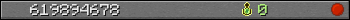 619894678 userbar 350x20