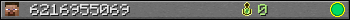 6216955069 userbar 350x20