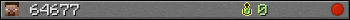 64677 userbar 350x20