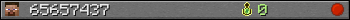 65657437 userbar 350x20