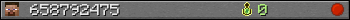 658792475 userbar 350x20
