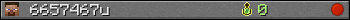 6657467u userbar 350x20