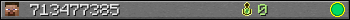 713477385 userbar 350x20