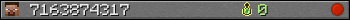 7163874317 userbar 350x20