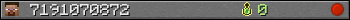 7191070872 userbar 350x20