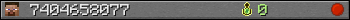 7404658077 userbar 350x20