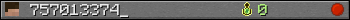 757013374_ userbar 350x20