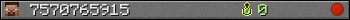 7570765915 userbar 350x20