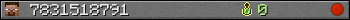 7831518791 userbar 350x20