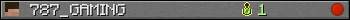 787_GAMING userbar 350x20